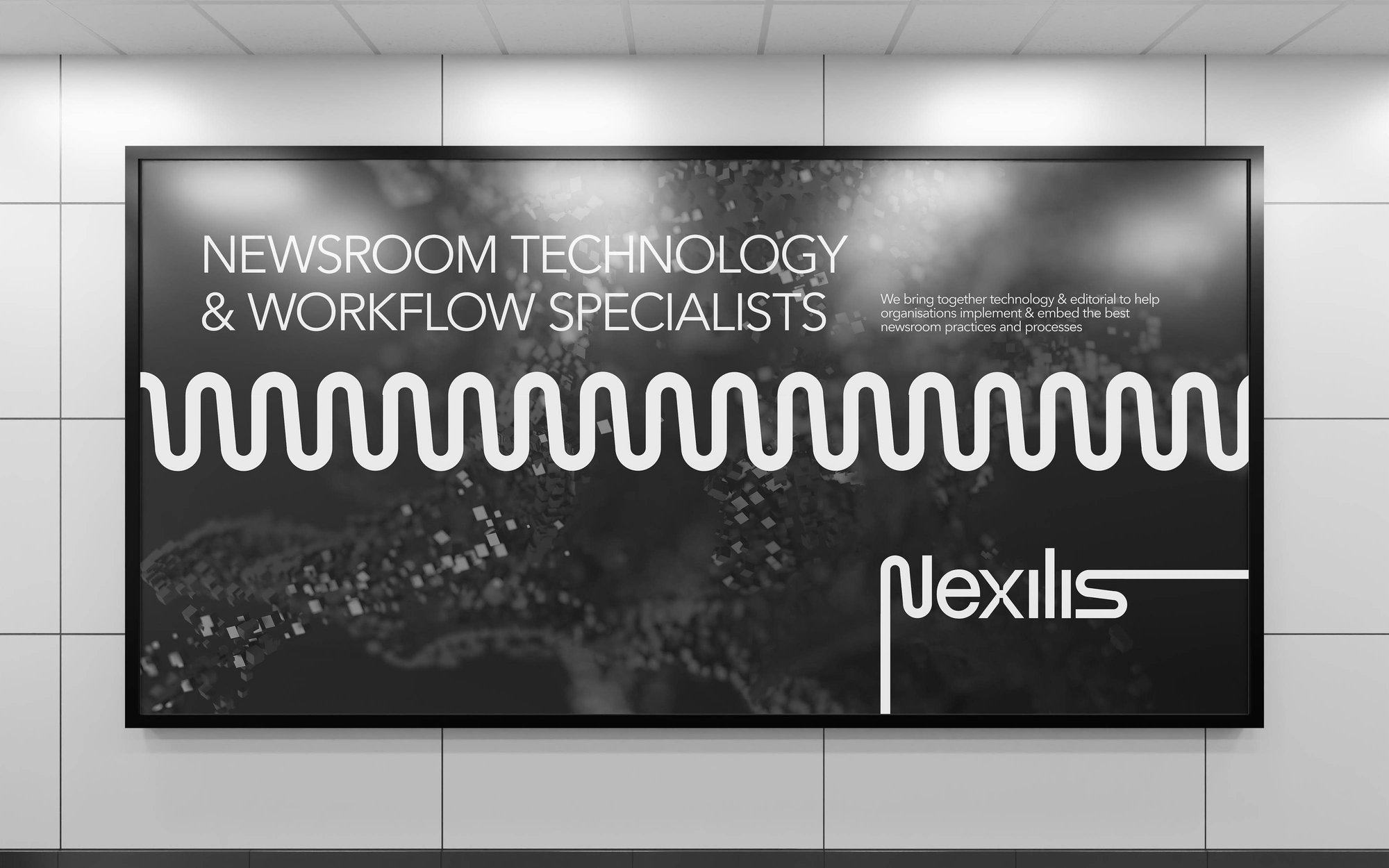 nexilis-02-bil